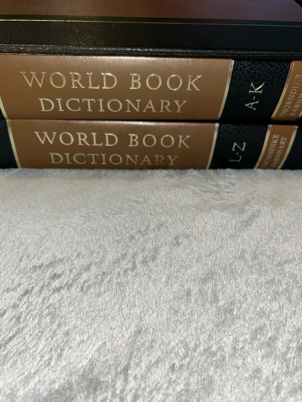 The World Book Encyclopedia Dictionary 2-Volume Set Lot 1979 Edition Hardcover